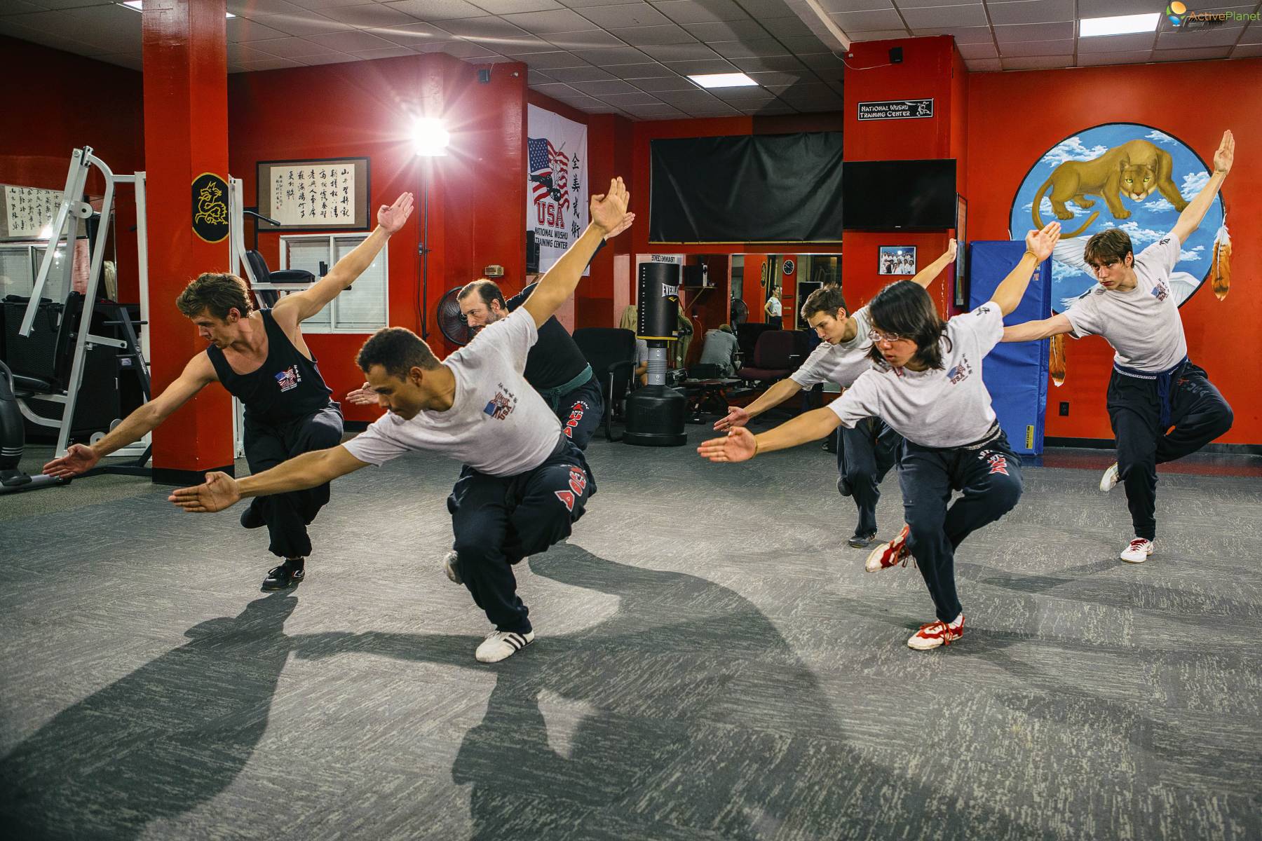 Wushu gathering in Cyprus